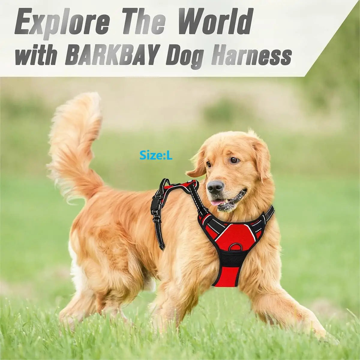 Adjustable Dog Walking Harness