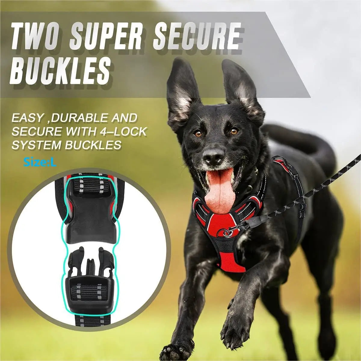 Adjustable Dog Walking Harness