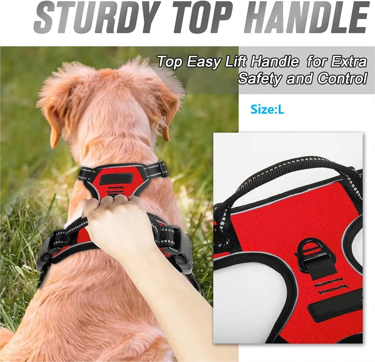 Adjustable Dog Walking Harness