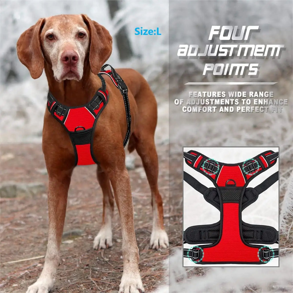Adjustable Dog Walking Harness